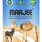 MAAJEE Multivitamins Nutrition & Mineral Supplements, Weight Gainer & Growth Promoter for Camel & Donkey, No Added Chemicals or Fragrance (908gm)