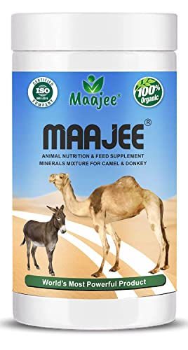 MAAJEE Multivitamins Nutrition & Mineral Supplements, Weight Gainer & Growth Promoter for Camel & Donkey, No Added Chemicals or Fragrance (908gm)