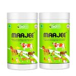 MAAJEE Animals Nutrition | Feed Supplement Minerals Mixture – Improvement in Milk Fat & SNF Content | Weight Gainer for All Animals (908 GM, Pack of 2)