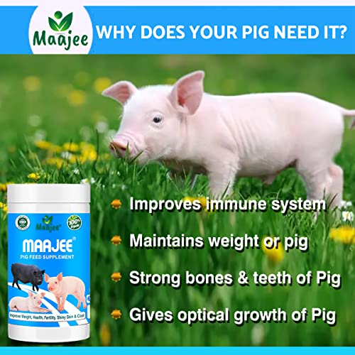 Pig Nutrition