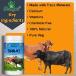 MAAJEE Cow and Buffalo and Cattle Feed Nutrition Supplement Minerals Mixture Improves Healthy Skin Radiant Coat Milk Yield, Fat & SNF Content Gain Weight (908gm)
