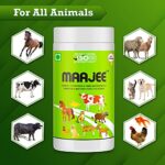 MAAJEE Animal Nutrition & Feed Supplement Minerals Mixture | for Live Stock Improvement in Milk Yield, Milk Fat & SNF Content (for All Animals) | Weight Gainer 908gm