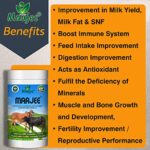 MAAJEE Cow and Buffalo and Cattle Feed Nutrition Supplement Minerals Mixture Improves Healthy Skin Radiant Coat Milk Yield, Fat & SNF Content Gain Weight (908gm)
