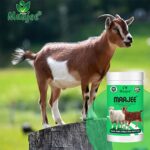MAAJEE Food Supplement & Trace Minerals for Sheep and Goat| Shiny Skin & Coat – 908GM