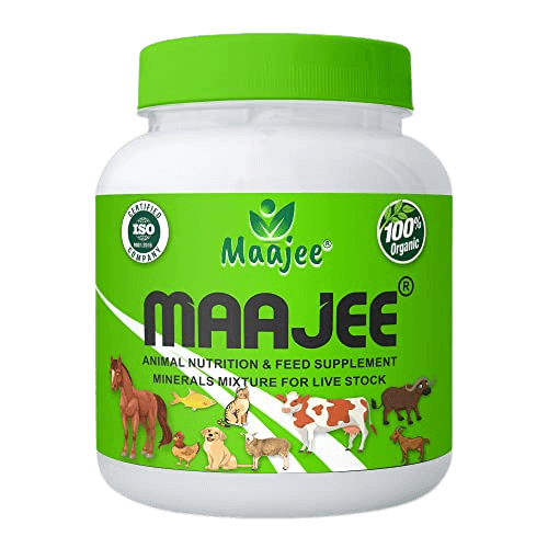 Animal Nutrition & Feed Supplement