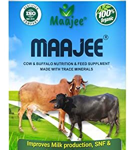MAAJEE Cow and Buffalo Cattle Feed Nutrition Supplement Minerals Mixture Improves Healthy Skin Radiant Coat Milk Yield, Fat & SNF Content Gain Weight Mixture | 908gm