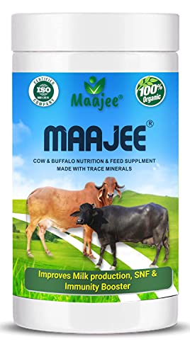 MAAJEE Cow and Buffalo Cattle Feed Nutrition Supplement Minerals Mixture Improves Healthy Skin Radiant Coat Milk Yield, Fat & SNF Content Gain Weight Mixture | 908gm
