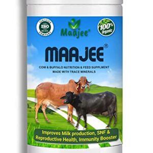 MAAJEE Cow and Buffalo and Cattle Feed Nutrition Supplement Minerals Mixture Improves Healthy Skin Radiant Coat Milk Yield, Fat & SNF Content Gain Weight (908gm)
