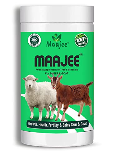 MAAJEE Food Supplement & Trace Minerals for Sheep and Goat| Shiny Skin & Coat - 908GM