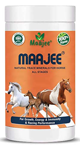 MAAJEE Nutritious Suppliment Powder Trace Minerals for Horse of All Stages Racing Performance | 908gm