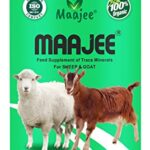 MAAJEE Sheep and Goat Feed Supplement Mineral Mixture for All Stages 908gm
